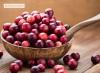 क्रैनबेरी बेरी: स्वास्थ्य लाभ और हानि, औषधीय गुण, उपयोग के रहस्य