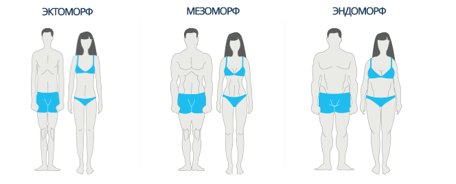 Tipul corpului endomorf | cum să mănânci și să te antrenezi/ACE Blog | Madame Lelica